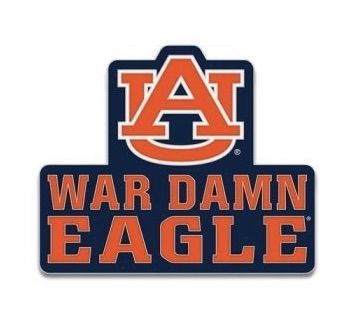 AU WINCRAFT WAR DAMN EAGLE LAPEL PIN
